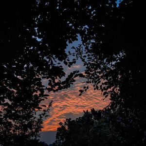 韩国午夜无码片在线观看影院中文
