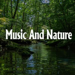 韩国午夜无码片在线观看影院中文
